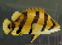 Dave the Diver Tiger Perch