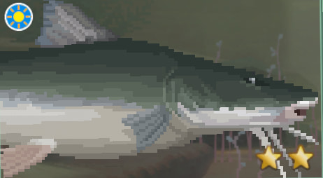 Dave the Diver Piraiba Catfish