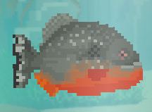 Dave the Diver red-bellied piranha