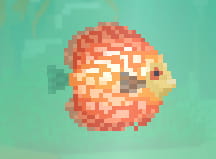 Dave the Diver Red Discus
