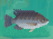 Dave the Diver Tilapia