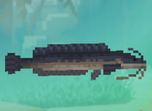 Dave the Diver Walking Catfish