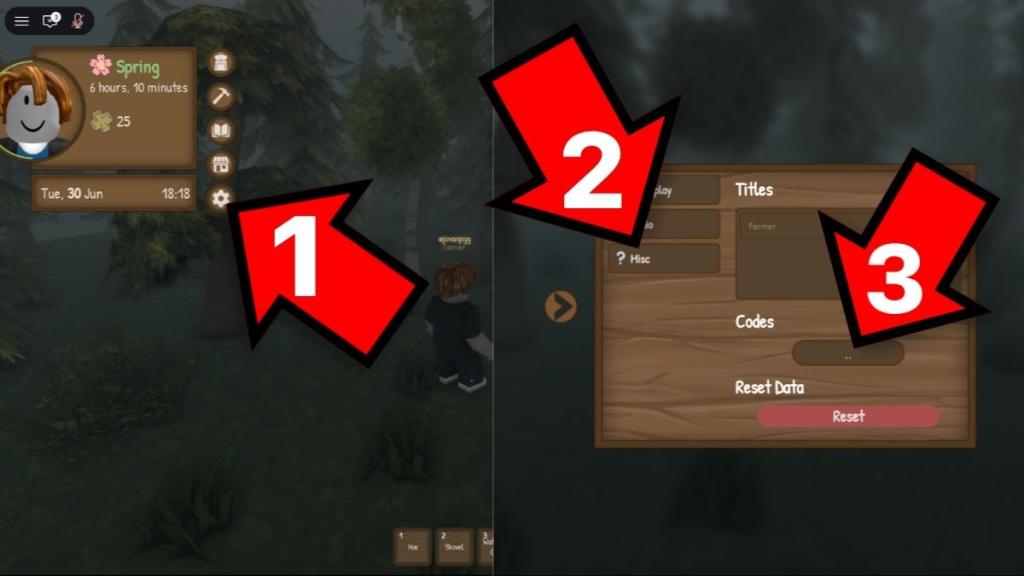 How to redeem Where Seasons Pass codes