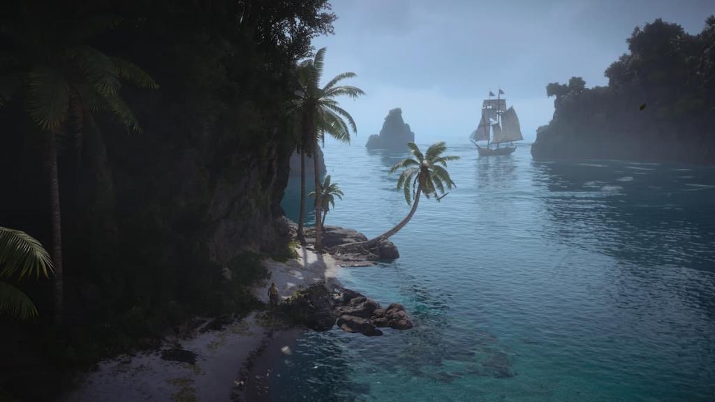 A bay in Black Flag Resynced.