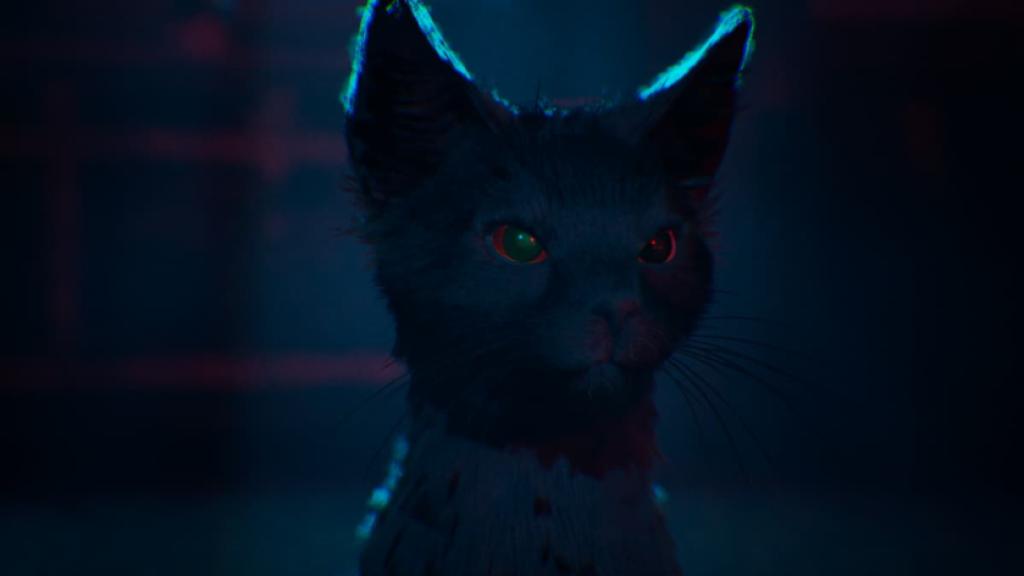 A cat in 1666: Amsterdam