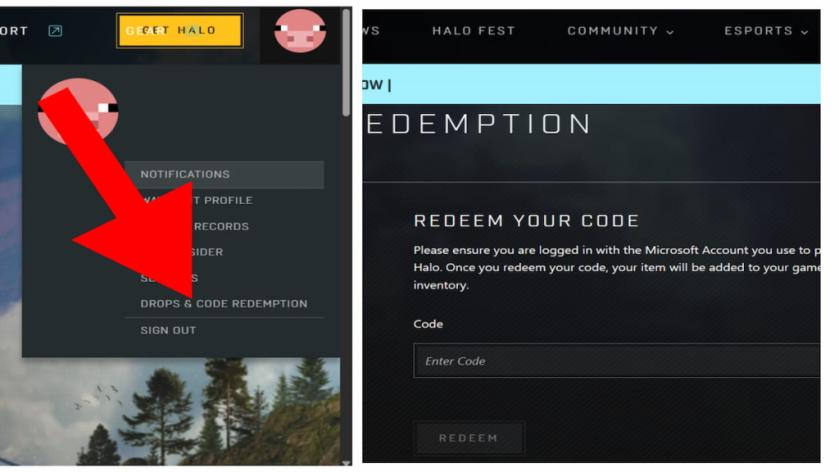How to redeem Halo Campaign Evolved codes. 