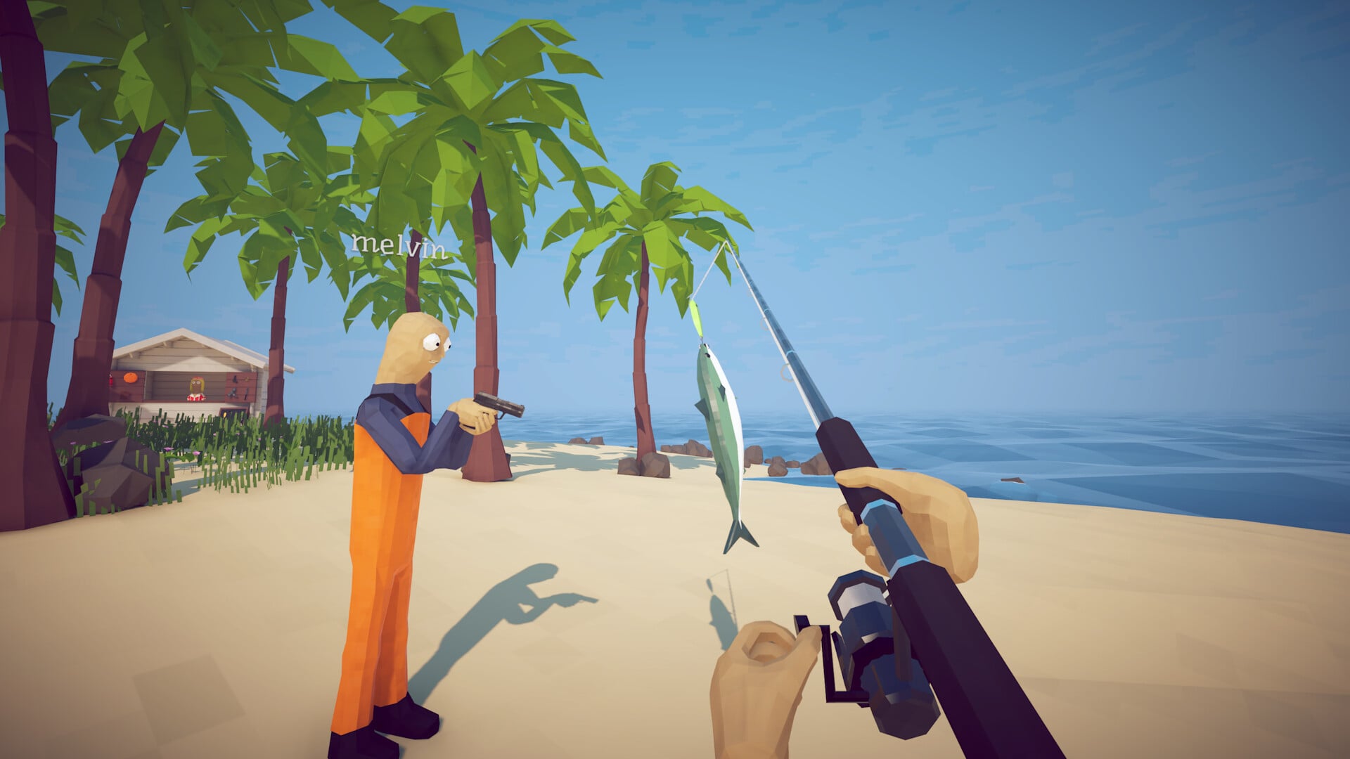 Killing the Mackerel in How to Fish