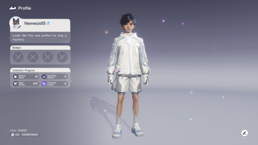 How to co-op with friends in Aniimo