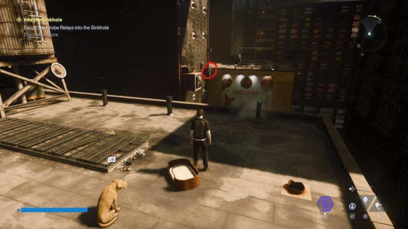 A dog in the West Incursion Zone, with her toy marked and visible in the distance.