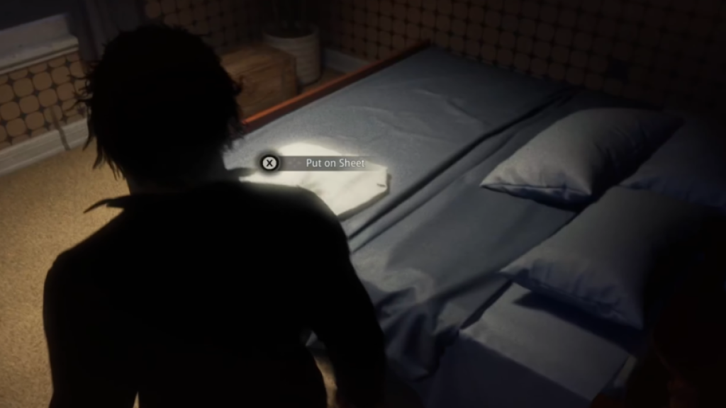 Finding The Sheet on the bed