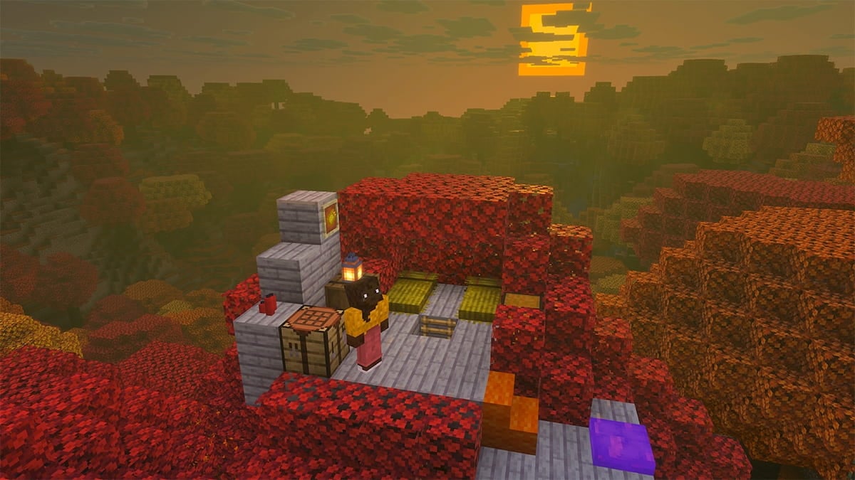 Dappled forest biome in minecraft