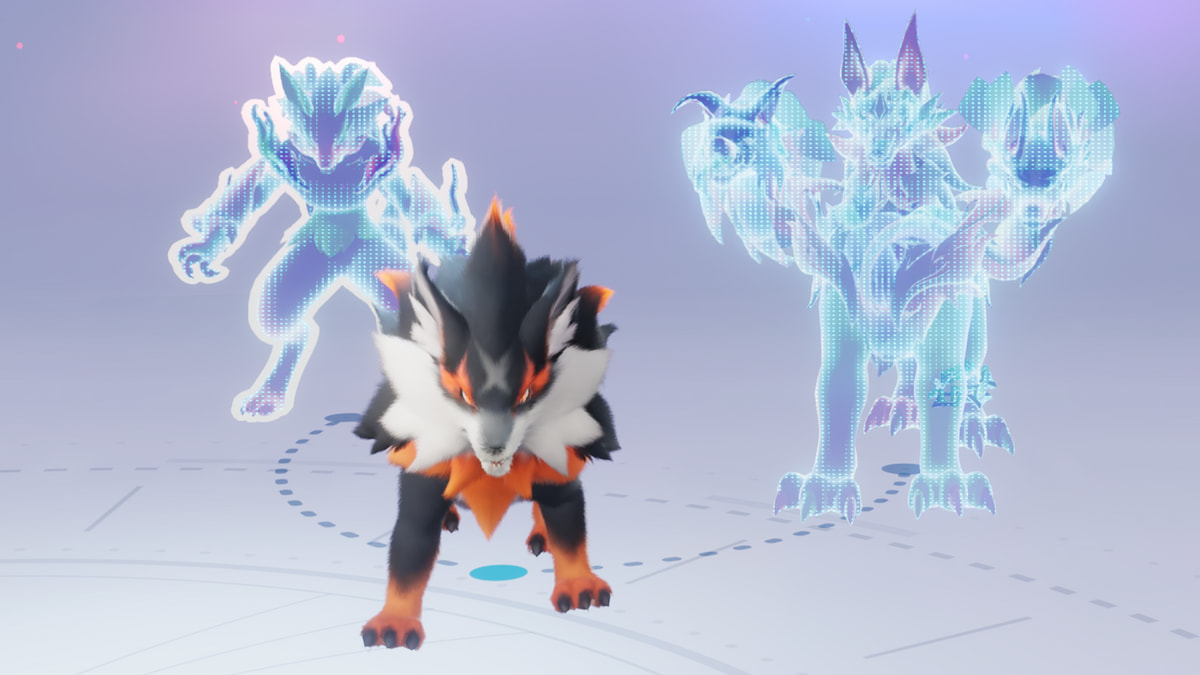 Different evolutions in aniimo