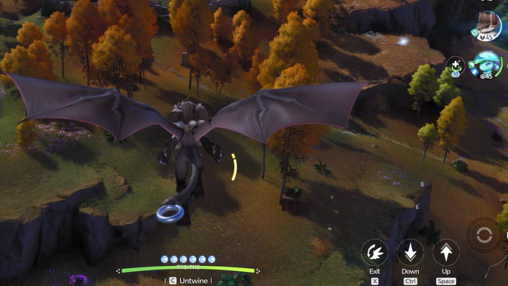 Flying as an Aniimo.