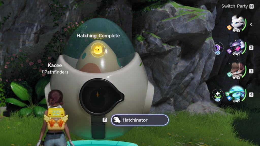Hatching an egg in aniimo