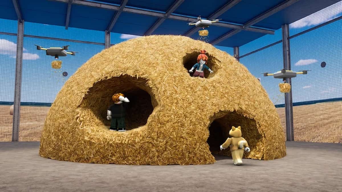 Promo for Needle In A Haystack