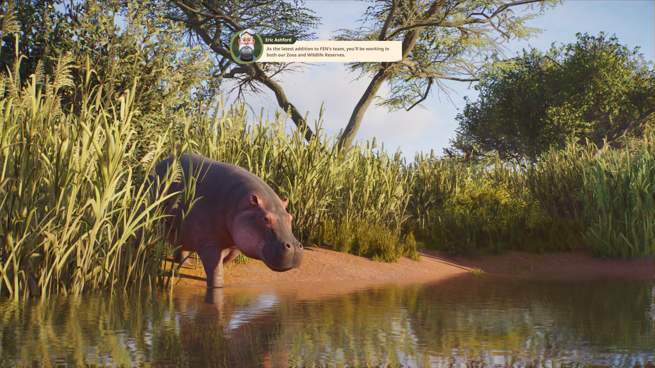 A baby Hippopotamus in Planet Zoo 2