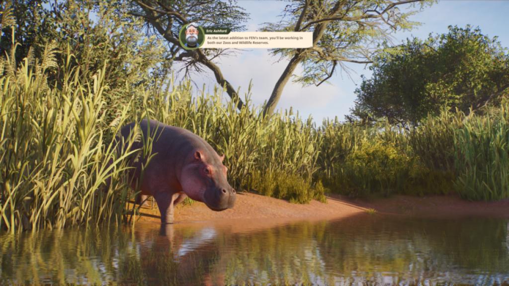 A baby Hippopotamus in Planet Zoo 2.