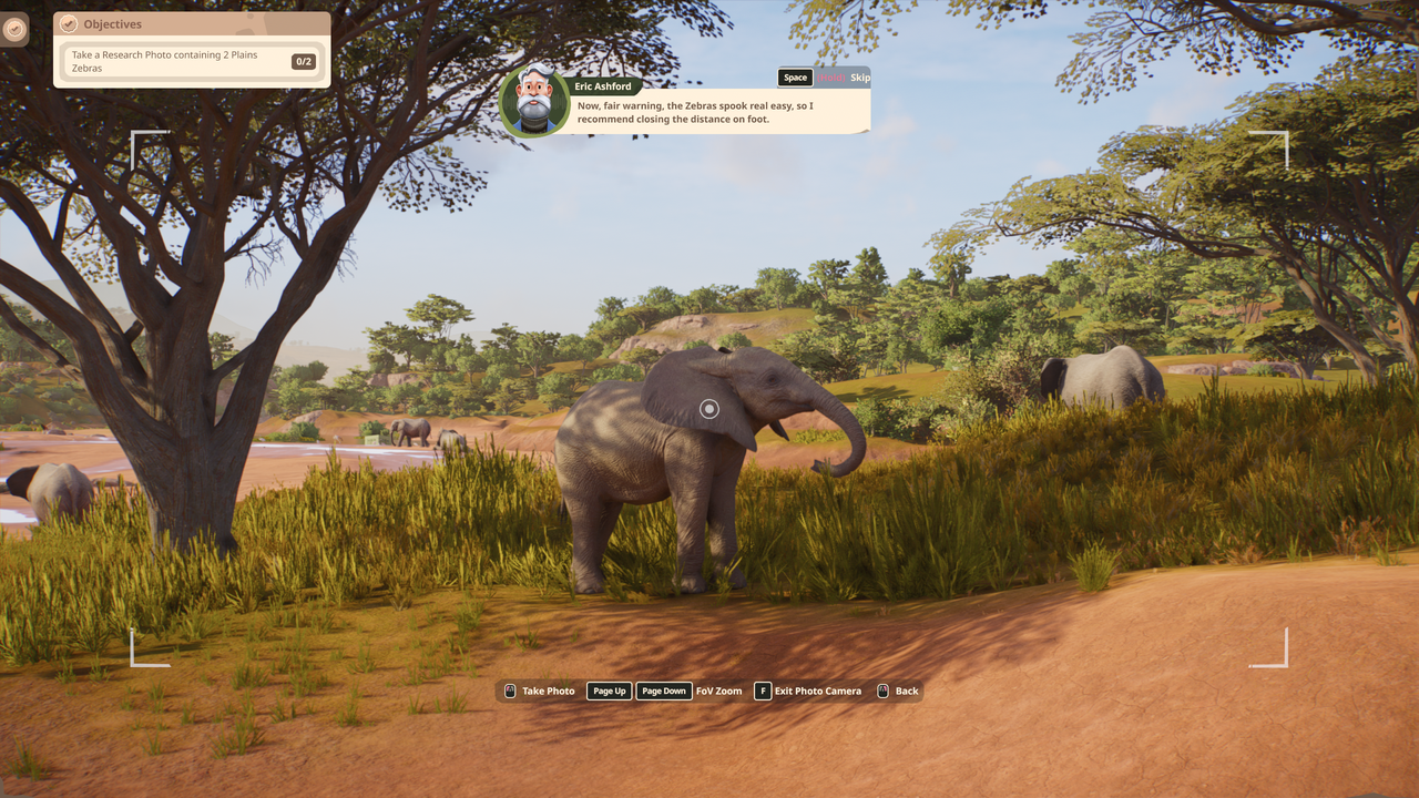 Baby elephant in Planet Zoo 2