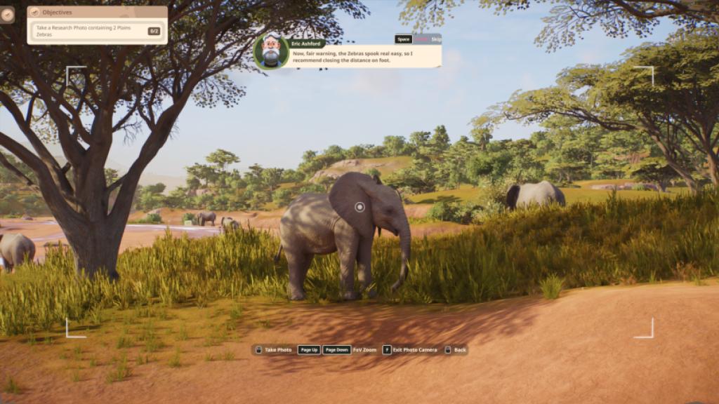 A baby elephant in Planet Zoo 2.