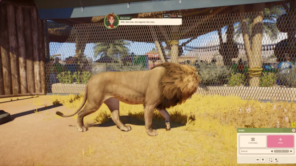 A lion in an enclosure in Planet Zoo 2.