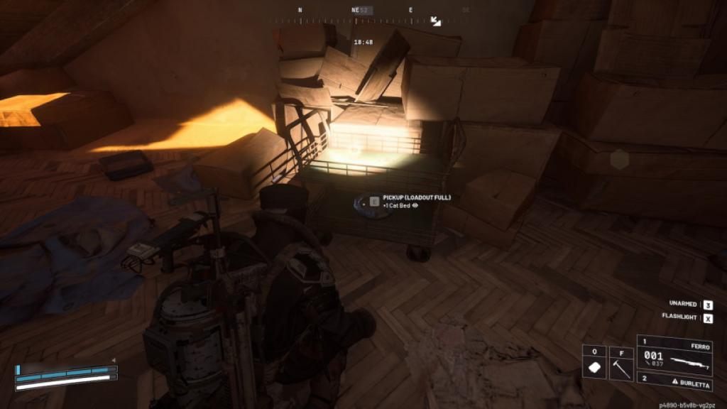 A raider finds a cat bed in the attic in Buried City's Santa Maria Houses.