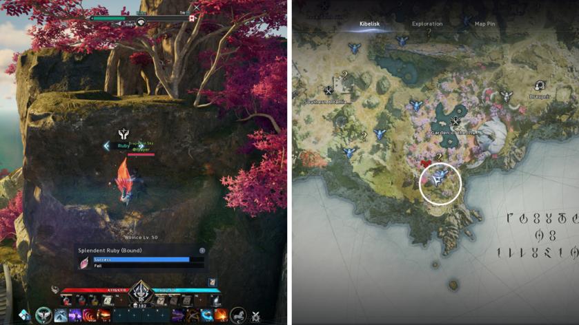 Where to gather Splendent Ruby in Aion 2: Location and walkthrough
