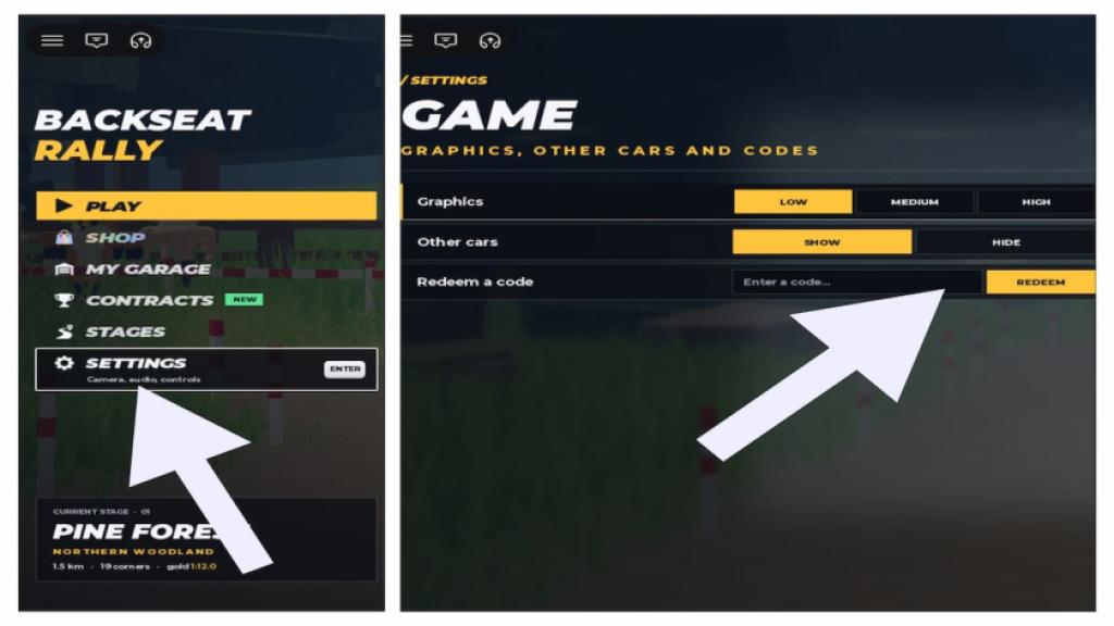How to redeem codes in Backseat Rally