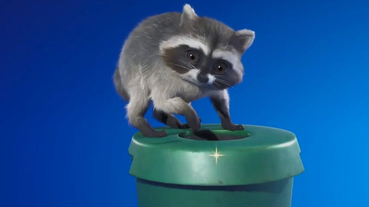 Jimothy the raccoon on a green pipe in fortnite