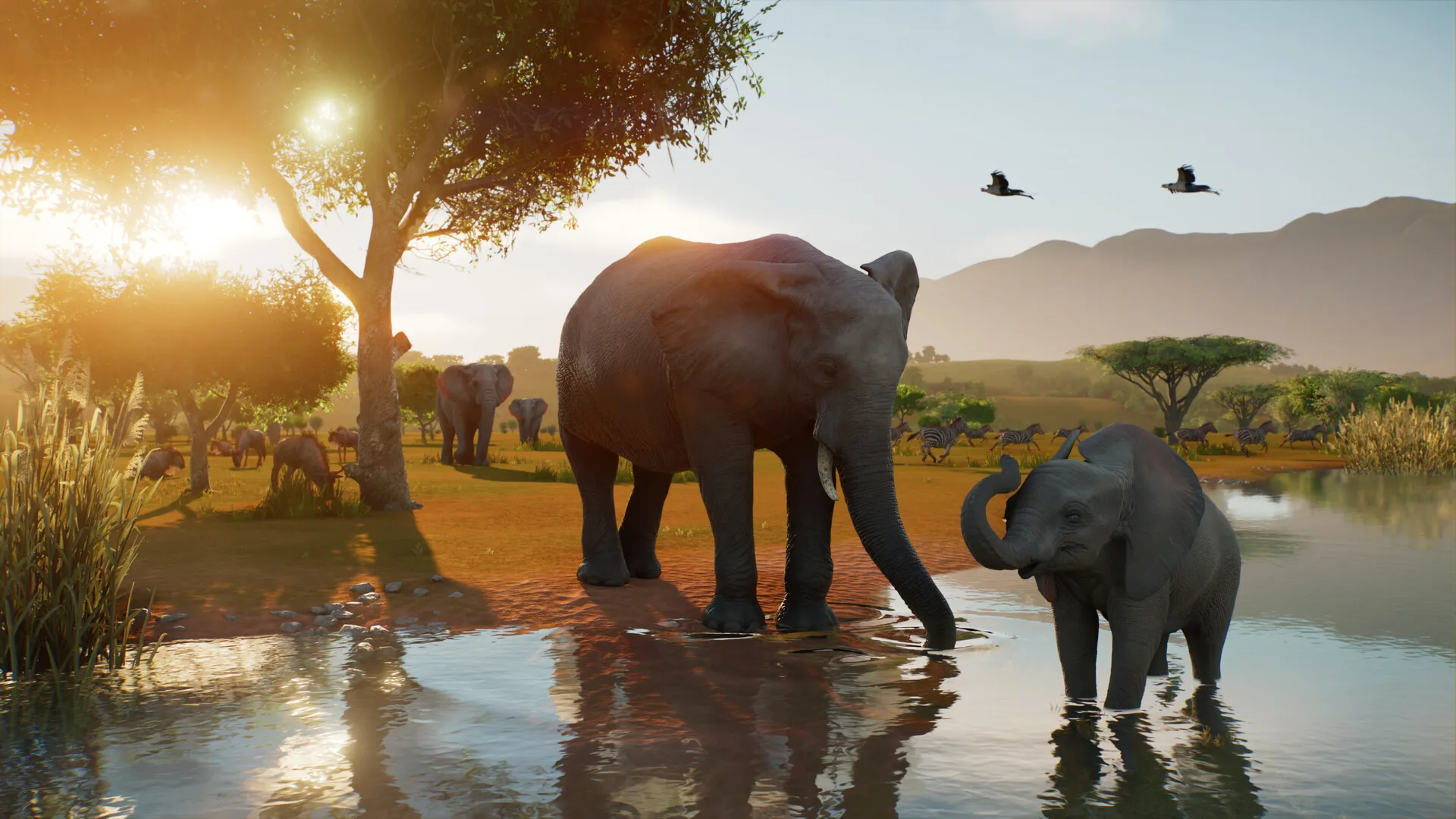 Elephants in Planet Zoo 2